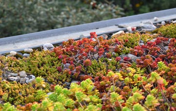 the cost of Higher Chalmington green roof installation