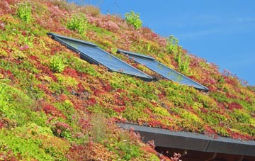 Higher Chalmington living roof systems