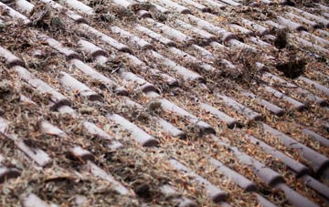 Higher Chalmington roof cleaning companies