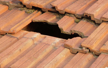 roof repair Higher Chalmington, Dorset