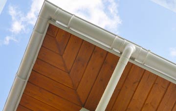 Higher Chalmington soffit types