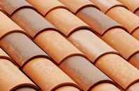 Higher Chalmington clay roofing