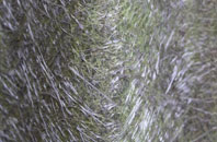 Higher Chalmington fibreglass roof work